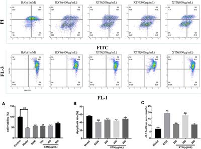 Investigating the Pharmacological Mechanisms of SheXiang XinTongNing Against Coronary Heart Disease Based on Network Pharmacology and Experimental Evaluation